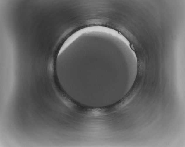 X0000111020064200907310940