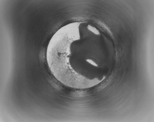 X0000111020065200907310940