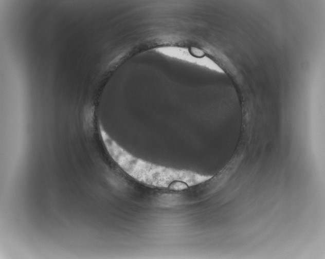 X0000111020066200907310940
