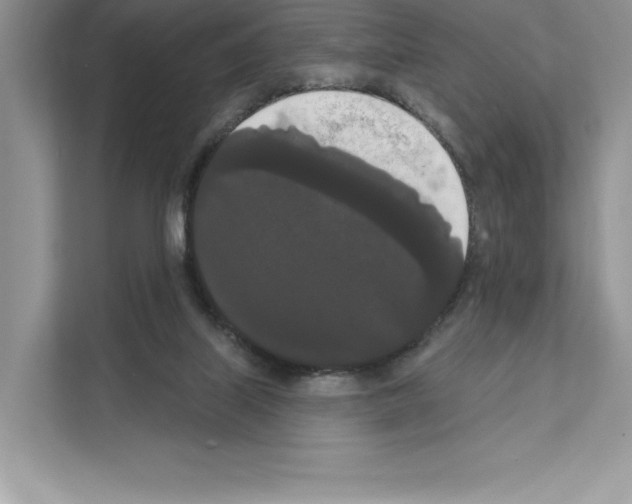 X0000111020067200907310940