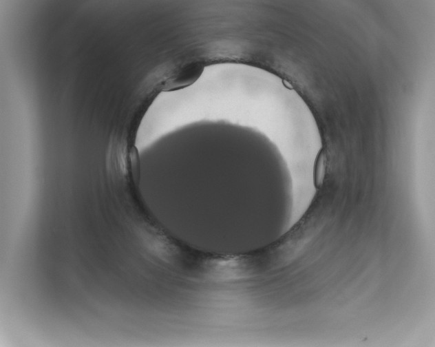 X0000111020068200907310940