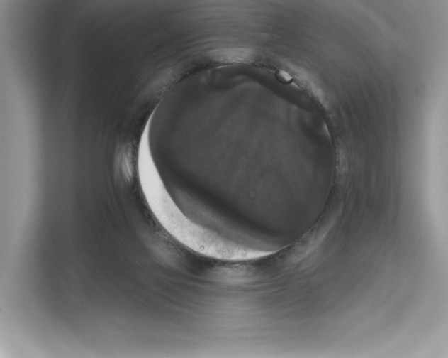 X0000111020069200907310940
