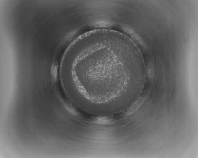 X0000111020070200907310940