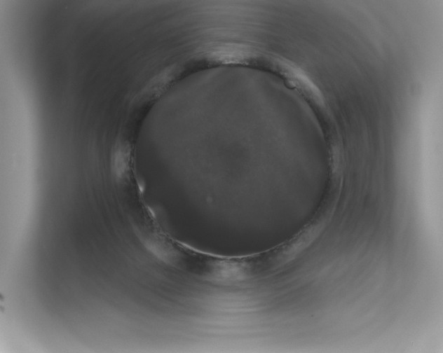 X0000111020073200907310940
