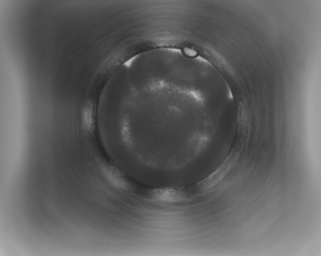 X0000111020074200907310940