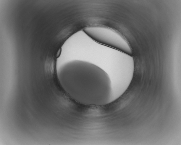 X0000111020076200907310940
