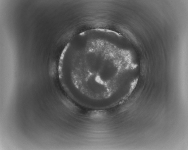 X0000111020077200907310940