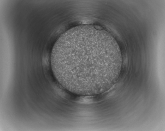 X0000111020078200907310940