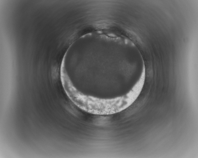 X0000111020081200907310940