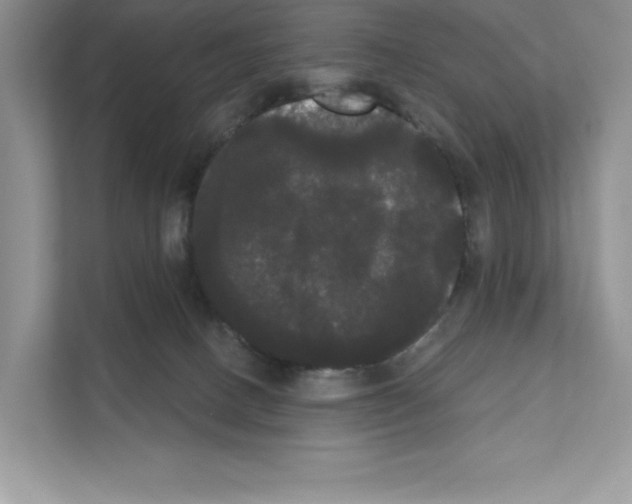 X0000111020082200907310940