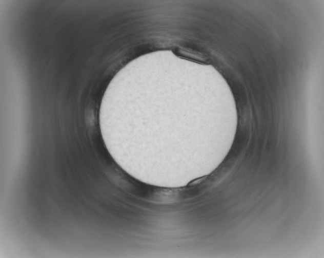 X0000111020084200907310940