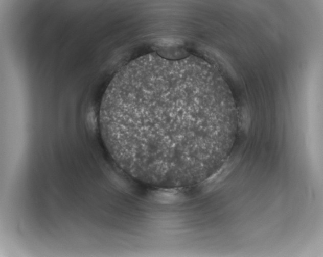 X0000111020086200907310940