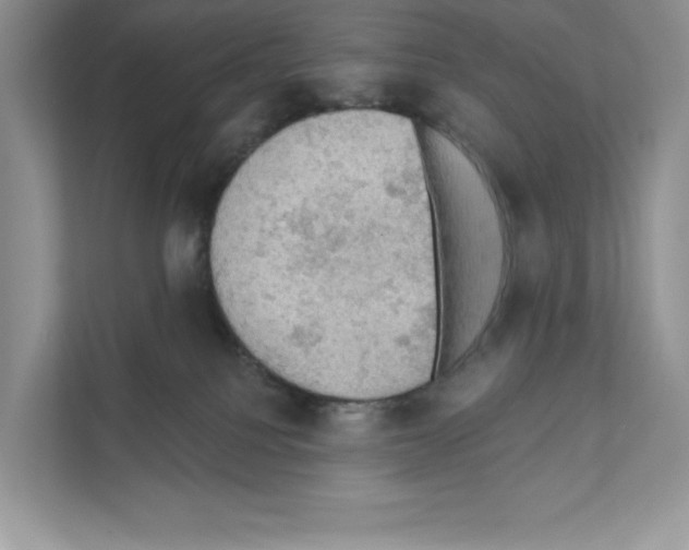 X0000111020088200907310940