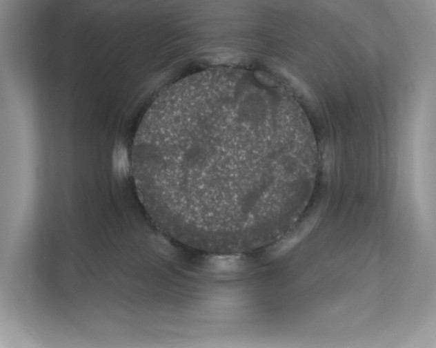 X0000111020089200907310940