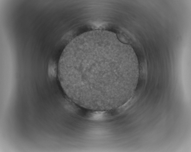 X0000111020090200907310940