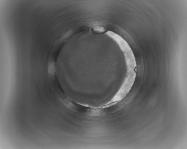 X0000111020093200907310940