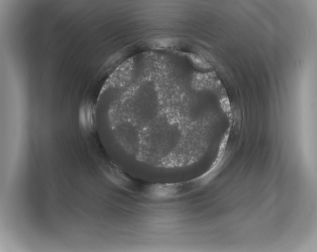 X0000111020094200907310940