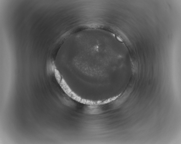X0000111020095200907310940