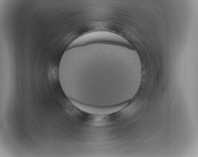 X0000111020096200907310940