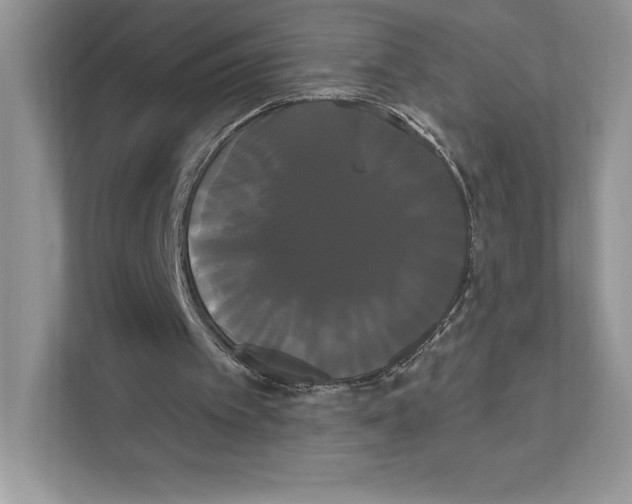 X0000111020097200907310940