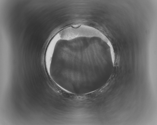 X0000111020099200907310940