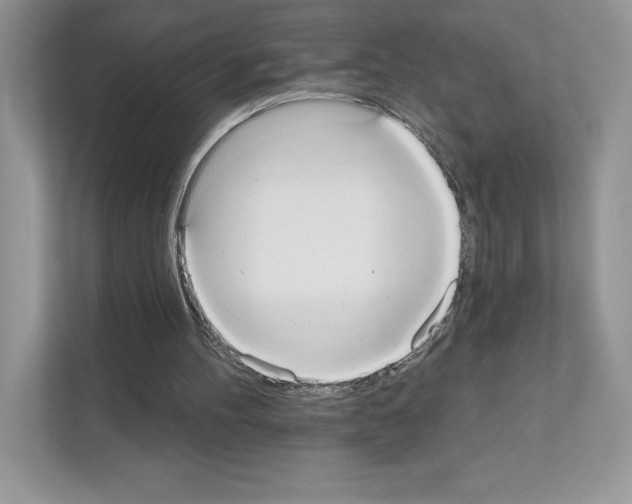 X0000111020100200907310940