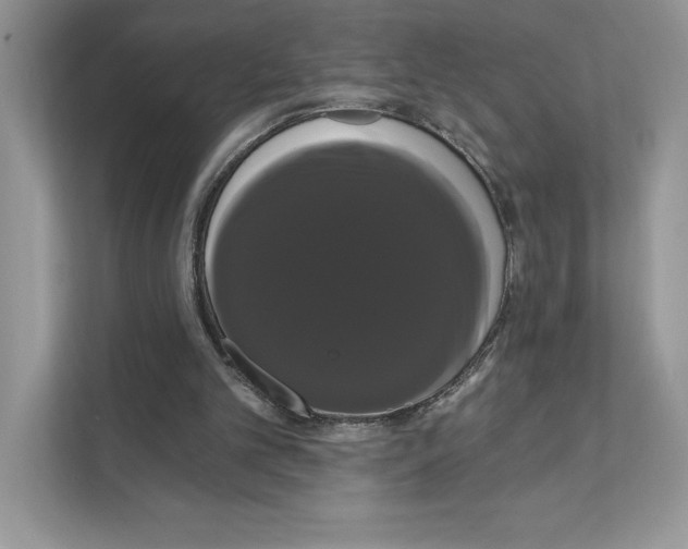 X0000111020101200907310940