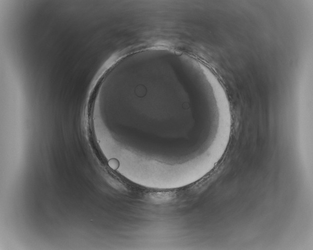 X0000111020102200907310940