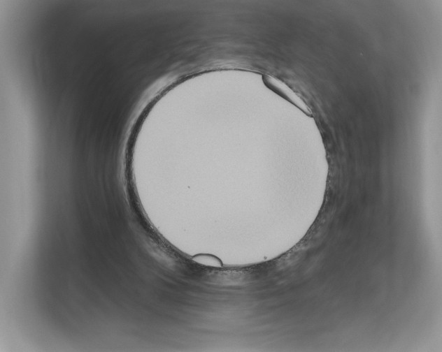 X0000111020104200907310940