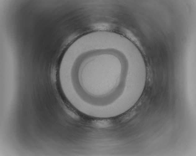 X0000111020106200907310940