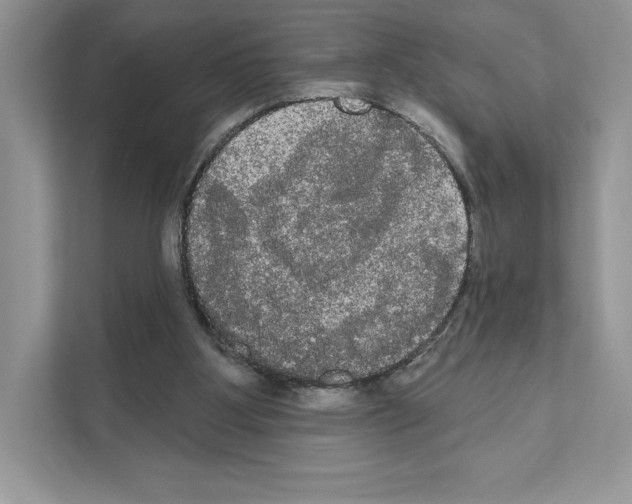 X0000111020107200907310940