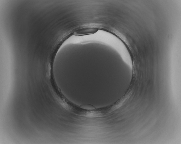 X0000111020109200907310940