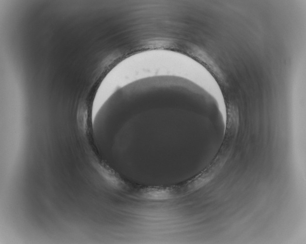 X0000111020110200907310940