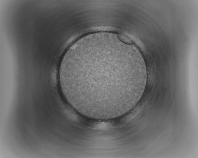 X0000111020111200907310940