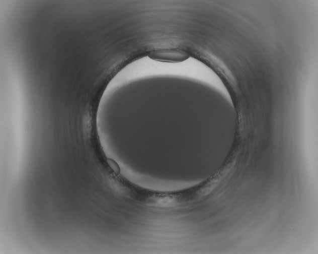 X0000111020113200907310940