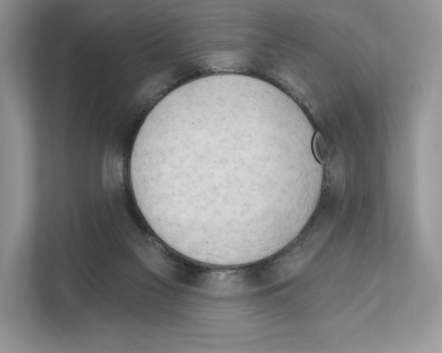 X0000111020117200907310940