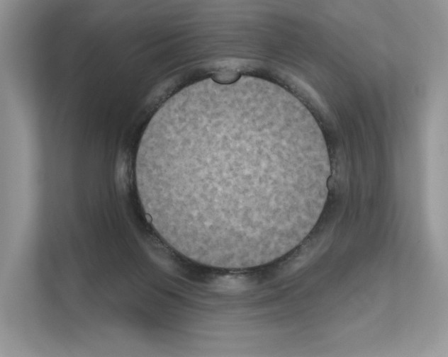X0000111020119200907310940