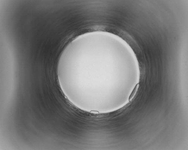 X0000111020120200907310940