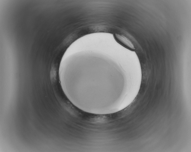 X0000111020124200907310939