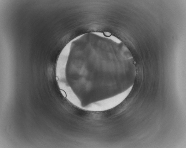 X0000111020127200907310939