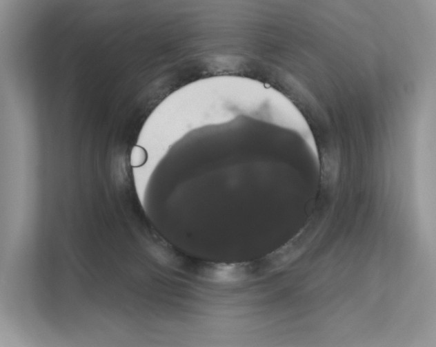 X0000111020130200907310939