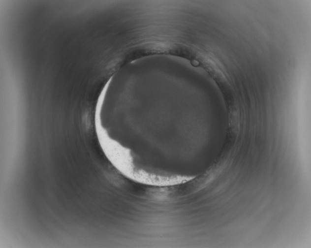 X0000111020131200907310939