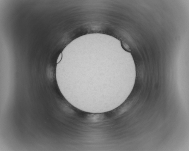 X0000111020135200907310939
