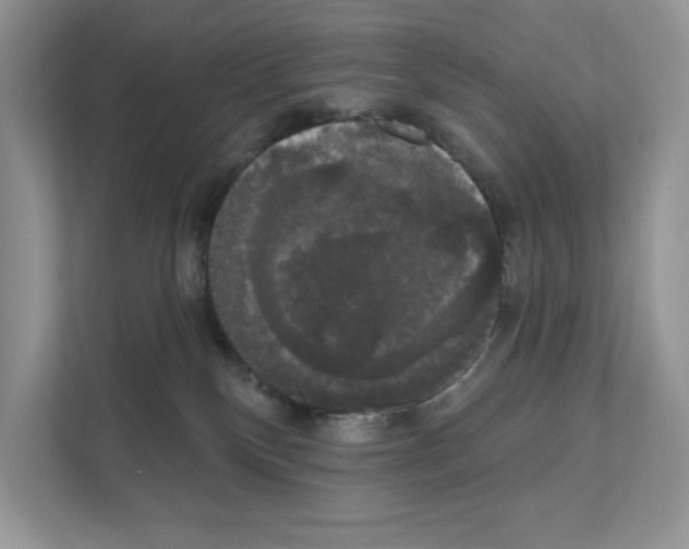 X0000111020136200907310939