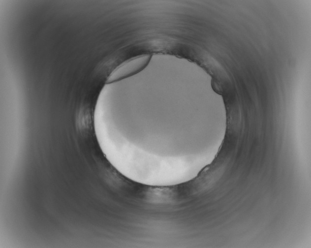 X0000111020137200907310939