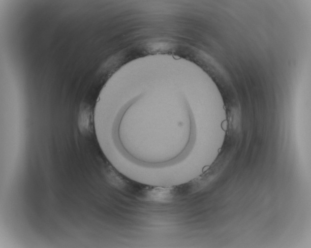 X0000111020138200907310939