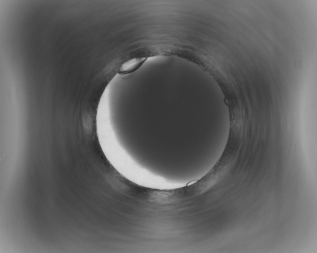X0000111020139200907310939