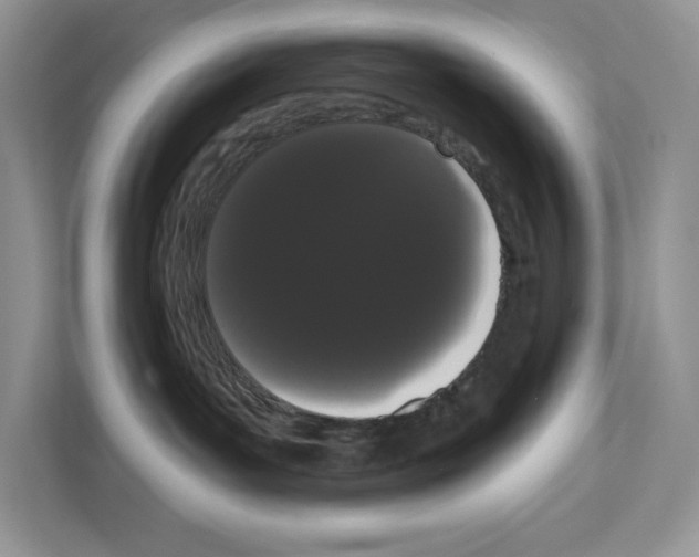 X0000111020143200907310939