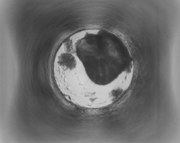 X0000111020145200907310939