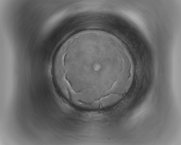 X0000111020146200907310939